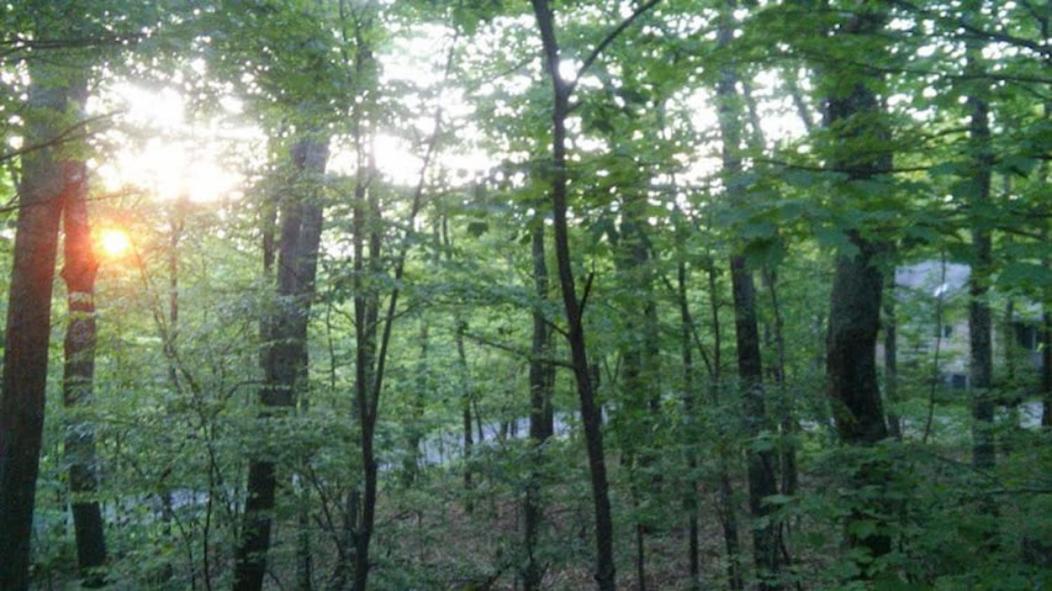 Wintergreen Mount Torry Furnace المظهر الخارجي الصورة