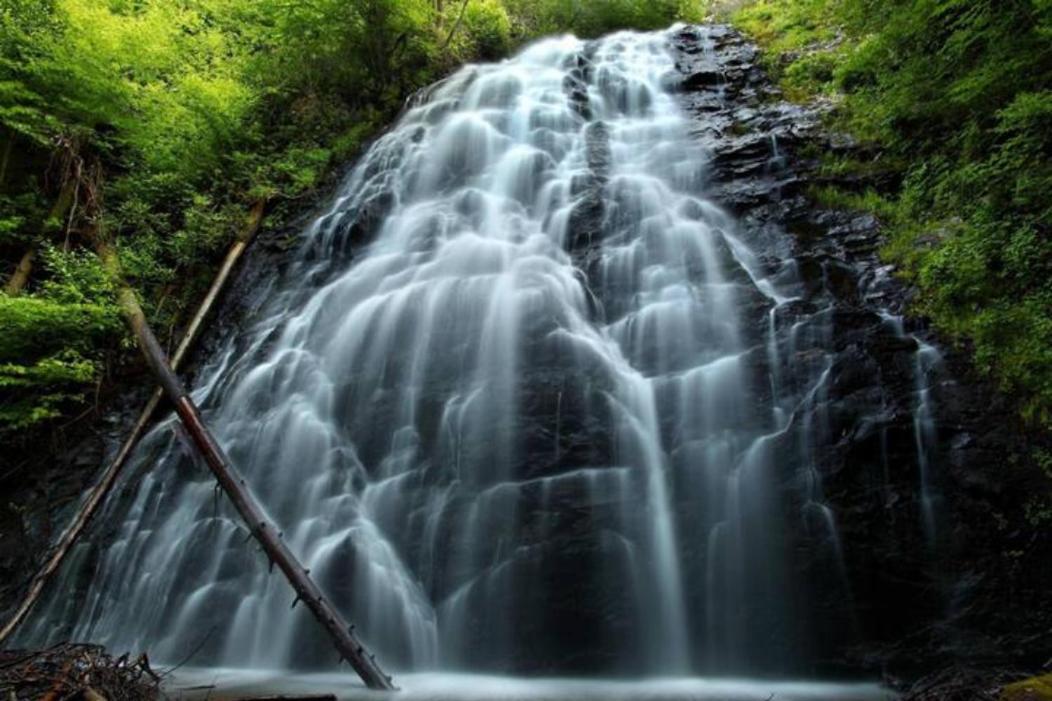 Wintergreen Mount Torry Furnace المظهر الخارجي الصورة